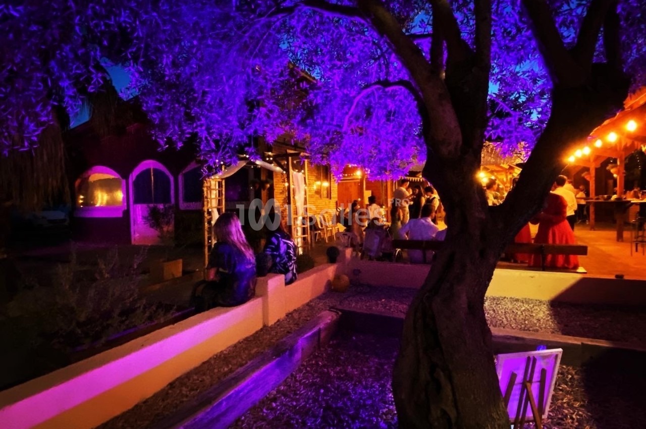 Terrasse extérieure éclairée par des lumières violettes et chaudes, avec des personnes assises sous un arbre le soir.