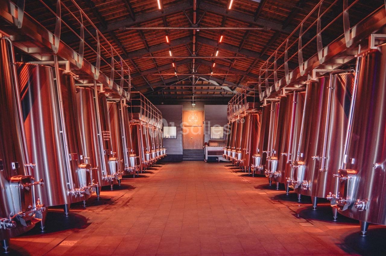 Salle avec de grandes cuves en inox alignées sous un toit en bois, éclairée par une lumière rouge tamisée.