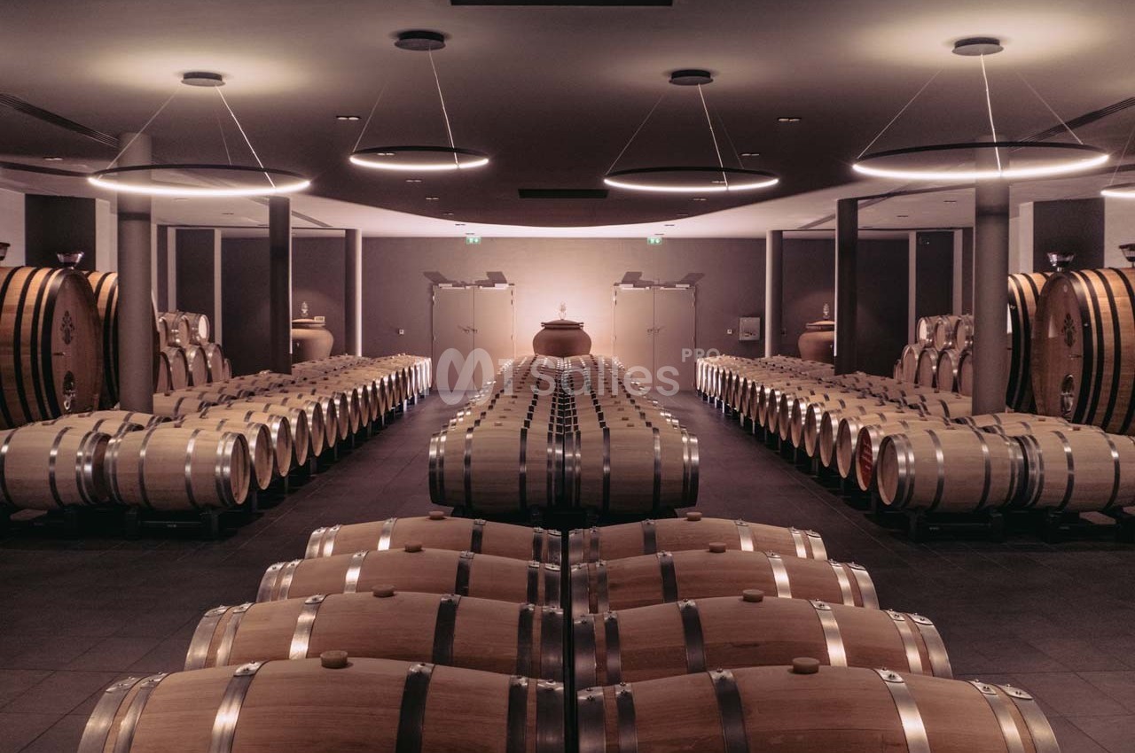 Rangées de fûts en bois alignés dans une cave à vin moderne, éclairée par des lumières suspendues.