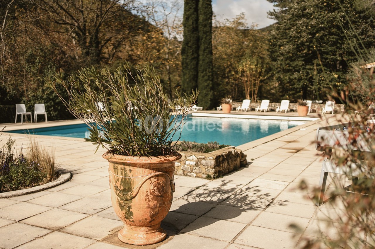 Piscine extérieure entourée de chaises longues, avec un grand pot en terre cuite et des arbres en arrière-plan.