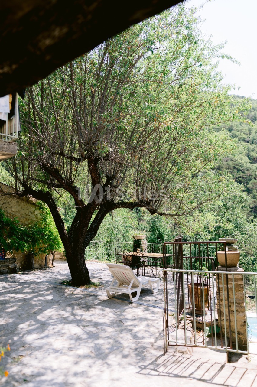 Terrasse ombragée avec un arbre, des chaises longues et une vue sur un paysage verdoyant près d'une piscine.