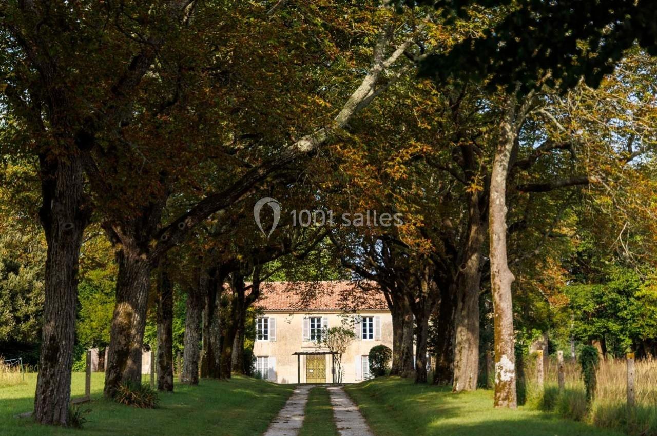Allée bordée d'arbres menant à une maison en pierre avec toit en tuiles, entourée de verdure.