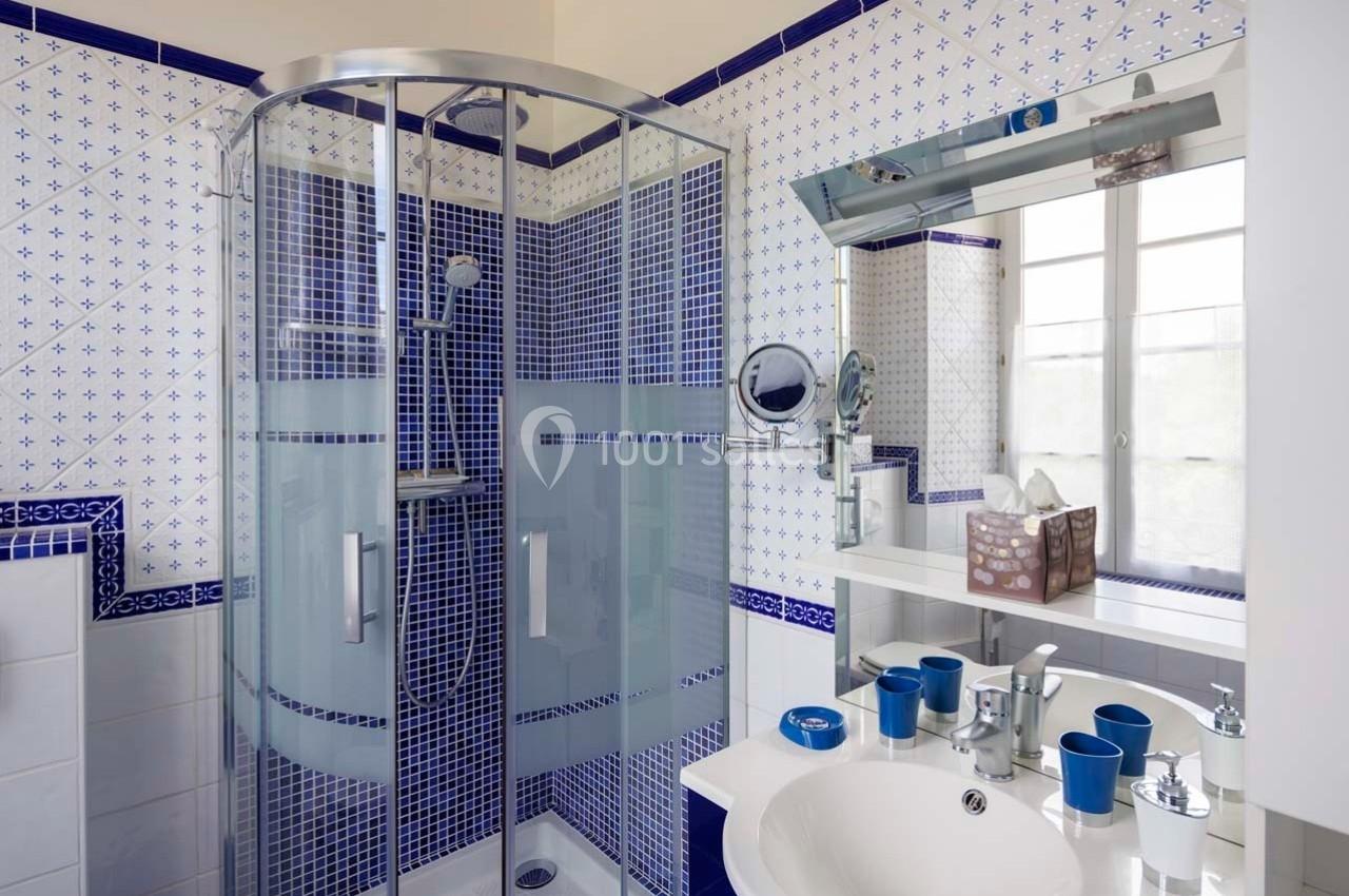 Salle de bain avec cabine de douche vitrée, carreaux bleus et blancs, lavabo avec accessoires et miroir mural.