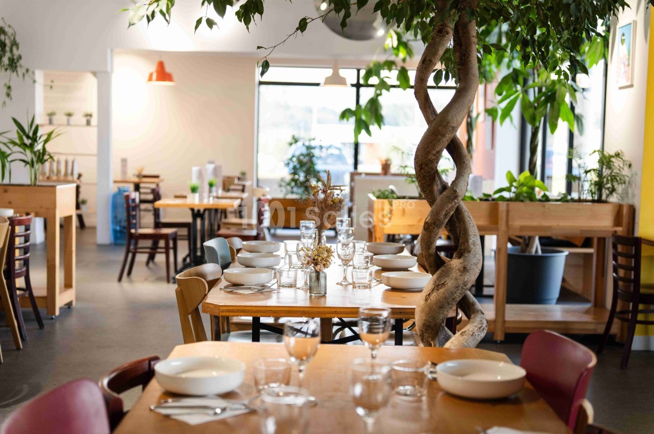 Salle de restaurant lumineuse avec des tables dressées, des plantes vertes et un arbre décoratif au centre.