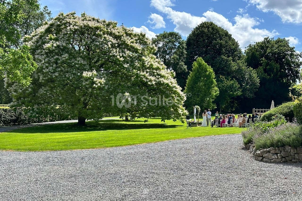 Un grand arbre en fleurs sur une pelouse, avec des chaises disposées et des personnes réunies en arrière-plan.