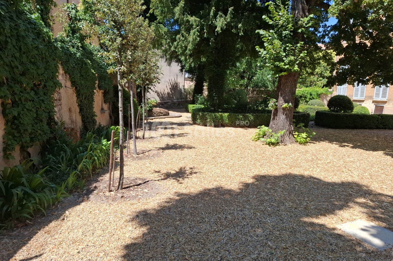 Allée ombragée dans un jardin avec arbres, buissons taillés et murs couverts de végétation.