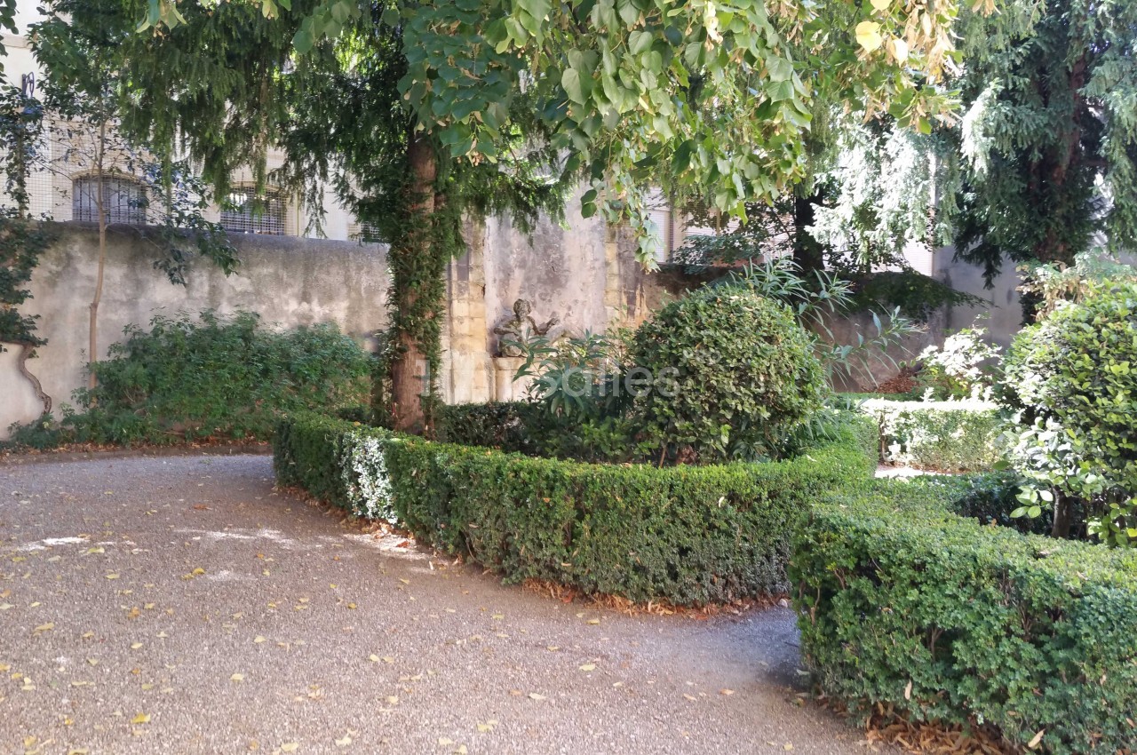 Jardin ombragé avec allée en gravier, haies taillées et arbres bordant un mur en pierre.