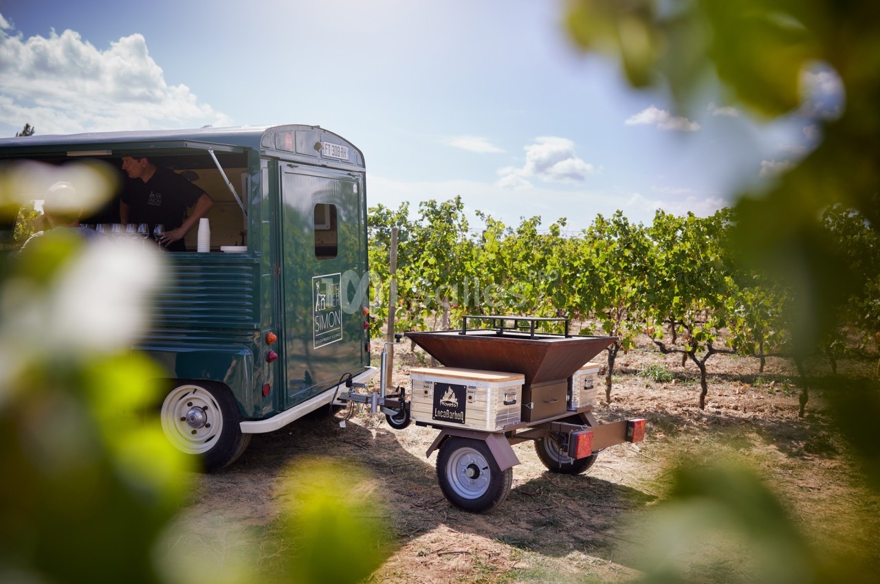 Camion vintage et remorque dans un vignoble sous un ciel ensoleillé, entourés de vignes verdoyantes.
