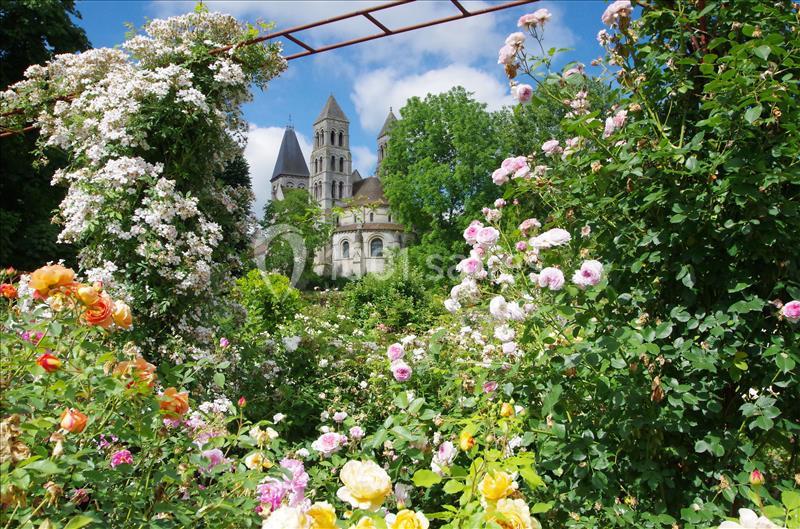 Abbaye De Morienval - galerie - photo 3