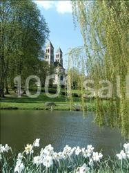 Abbaye De Morienval - galerie - photo 7