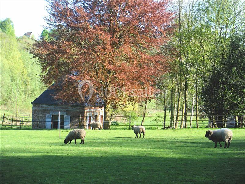 Abbaye De Morienval - galerie - photo 18