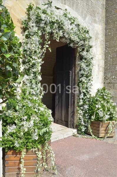 Abbaye De Morienval - galerie - photo 11