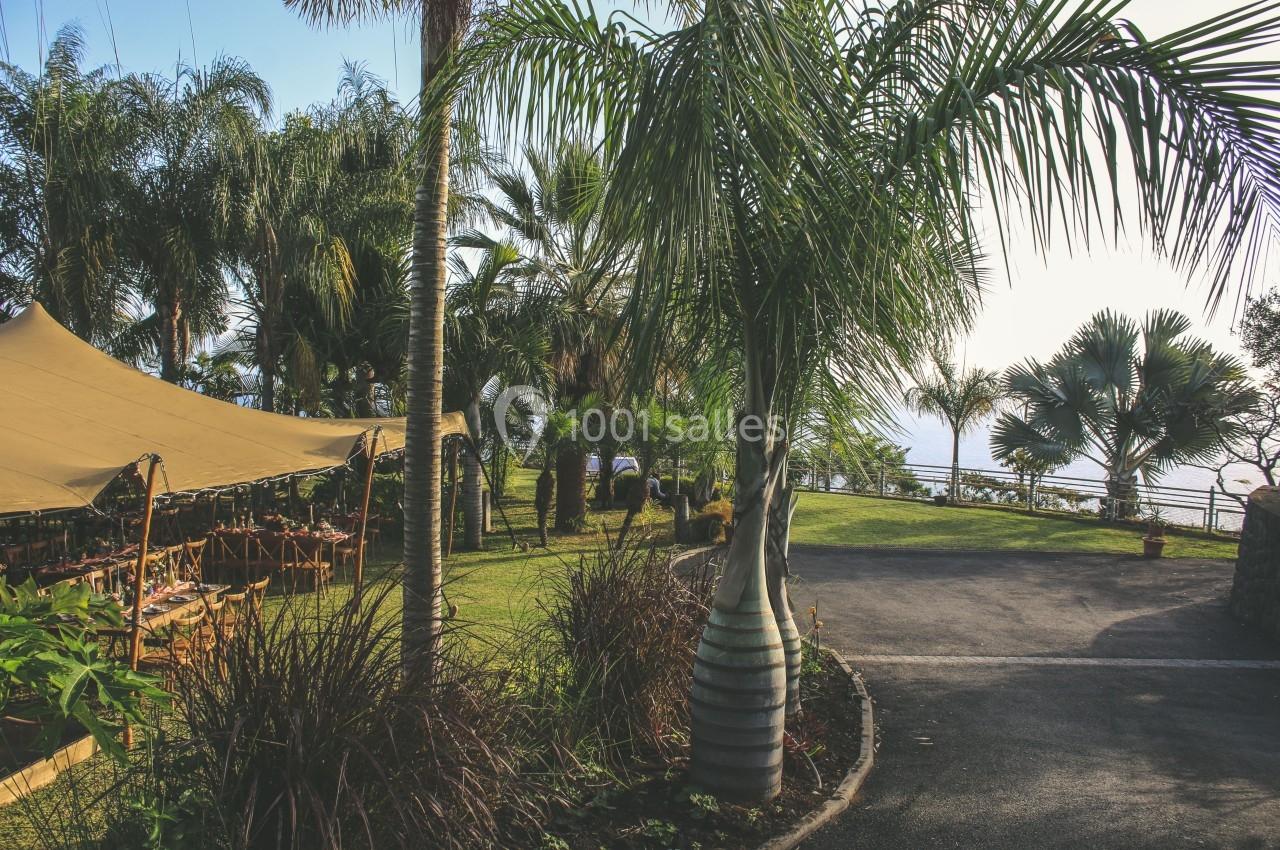 Jardin avec palmiers, tente beige et chaises en bois, vue sur la mer à l'arrière-plan.