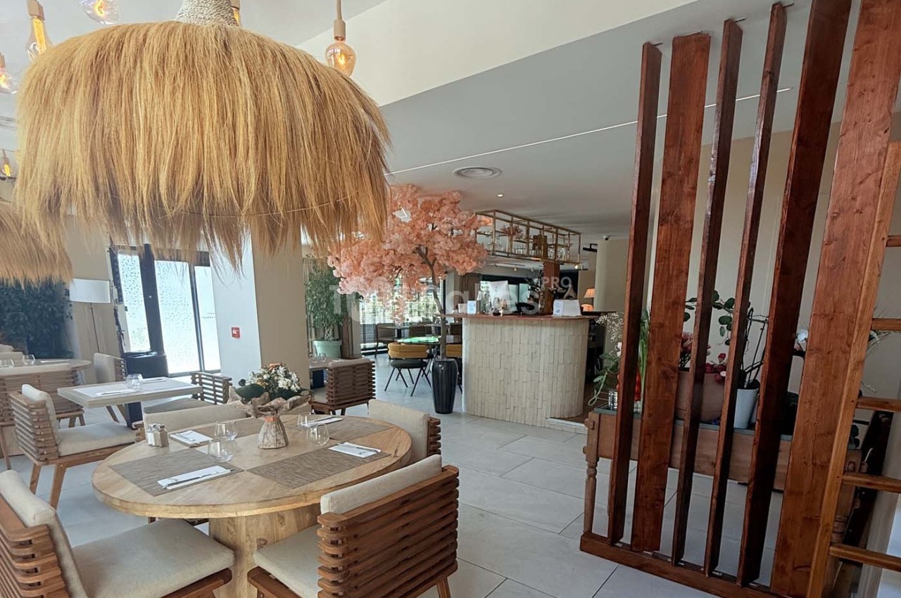 Salle de restaurant lumineuse avec mobilier en bois, décoration végétale et comptoir en arrière-plan.