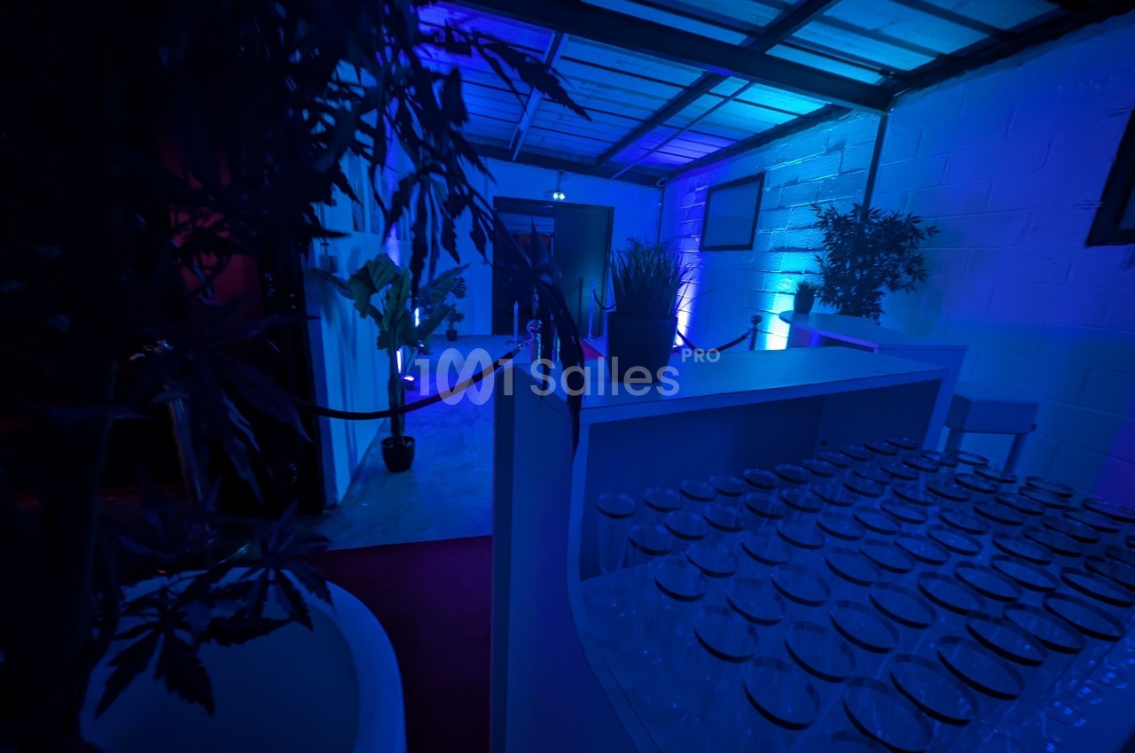 Salle sombre éclairée de lumières bleues, avec un comptoir rempli de verres et des plantes en décoration.