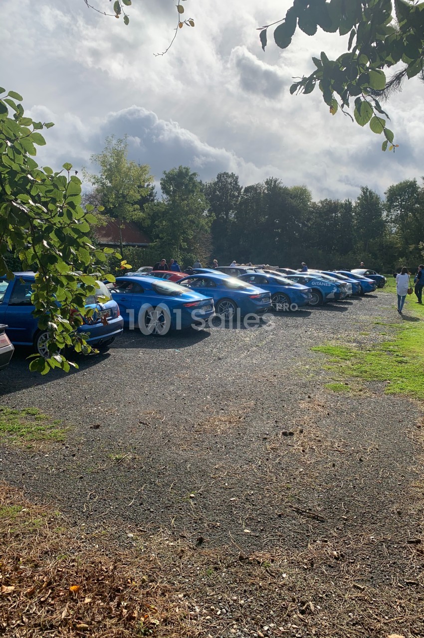 Rangée de voitures sportives bleues garées sur un parking en plein air, entouré de verdure et d'arbres.