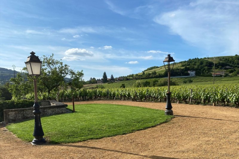 La Beaujolaise - photo 5