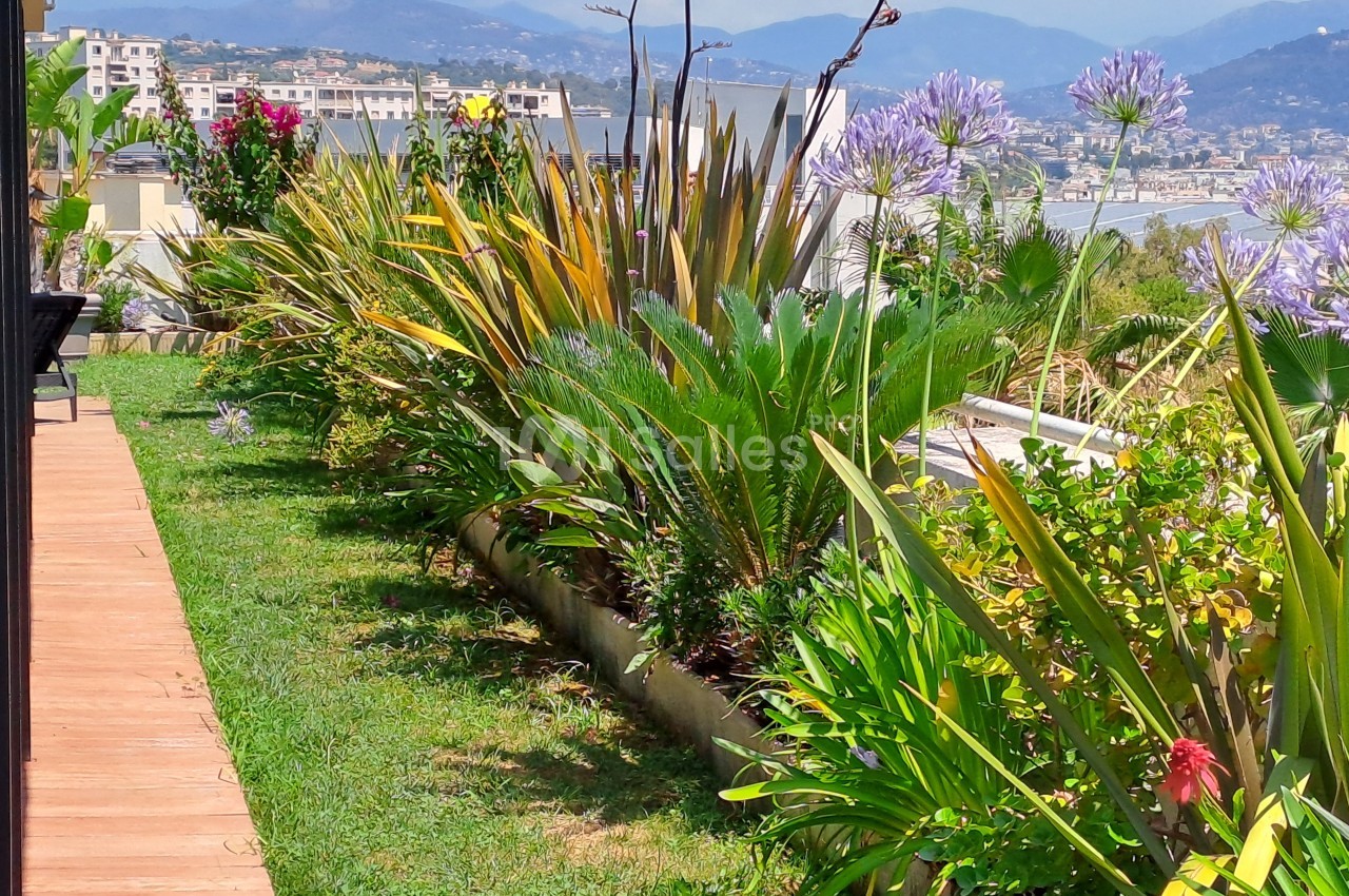 Jardin fleuri avec diverses plantes et fleurs colorées, bordé par une terrasse en bois, avec vue sur des montagnes.