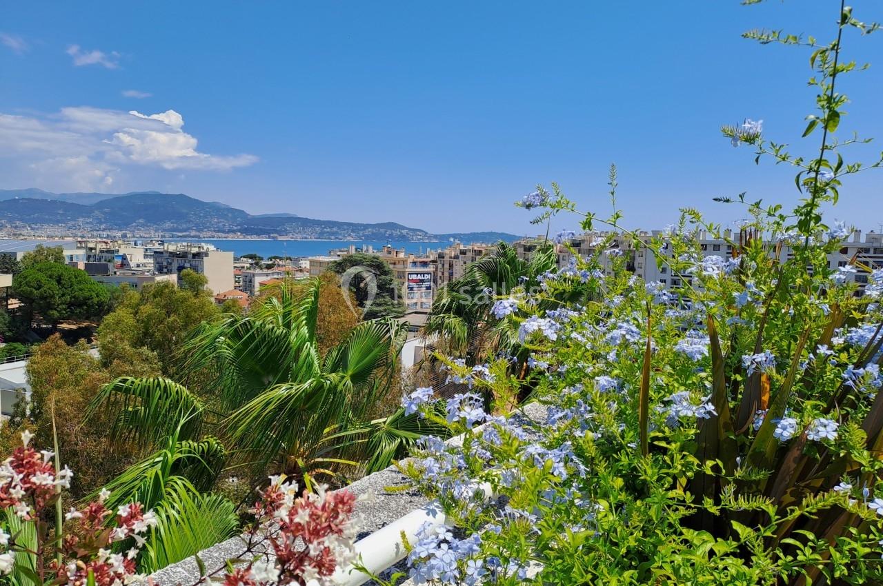 Vue sur une ville côtière avec des montagnes en arrière-plan, entourée de végétation et de fleurs sous un ciel bleu.