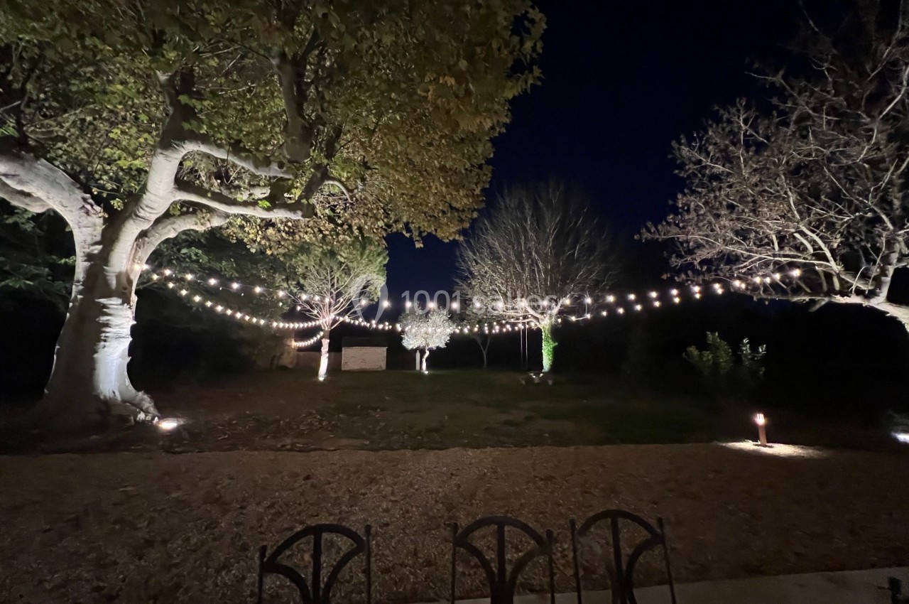 Guirlandes lumineuses suspendues entre des arbres dans un jardin éclairé de nuit, avec des chaises au premier plan.