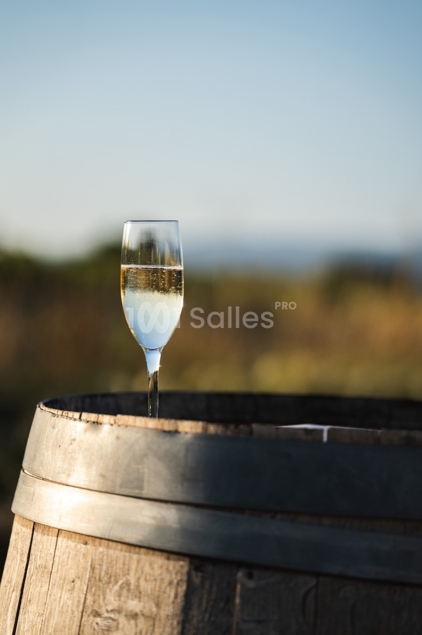 Verre de vin blanc posé sur un tonneau en bois, avec un paysage flou en arrière-plan sous une lumière naturelle.