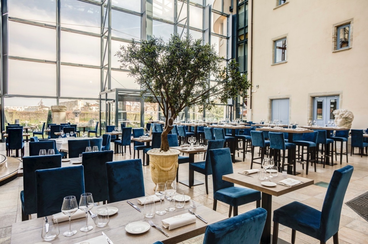 Salle de restaurant lumineuse avec de grandes baies vitrées, des tables dressées et un olivier en pot au centre.
