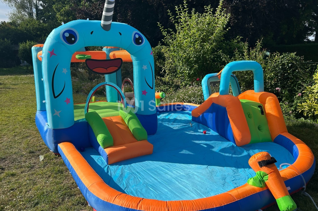 Structure gonflable colorée en forme de narval avec toboggans et piscine, installée dans un jardin ensoleillé.