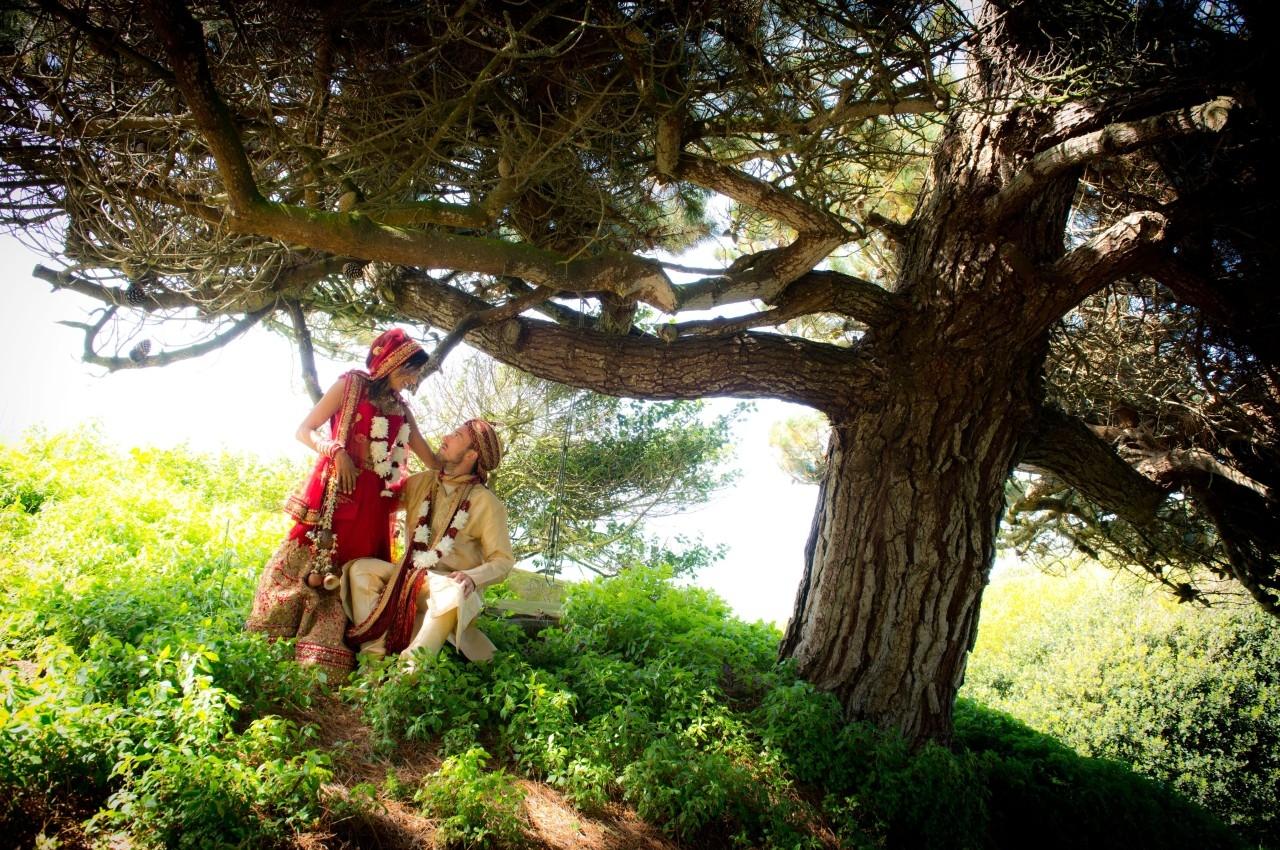 Un couple en tenue traditionnelle indienne pose sous un grand arbre dans un cadre naturel verdoyant.