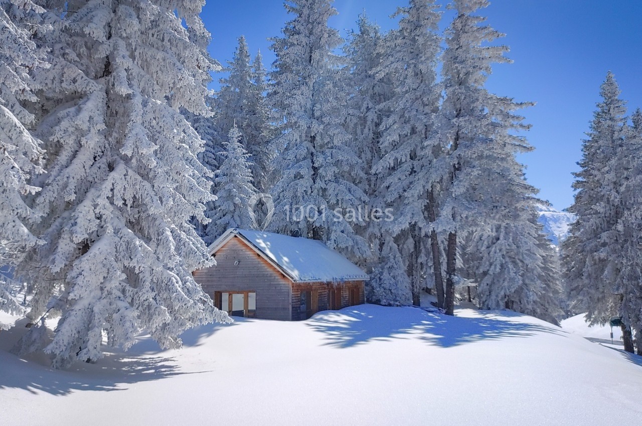Cabane en bois entourée de sapins couverts de neige sous un ciel bleu clair en montagne.