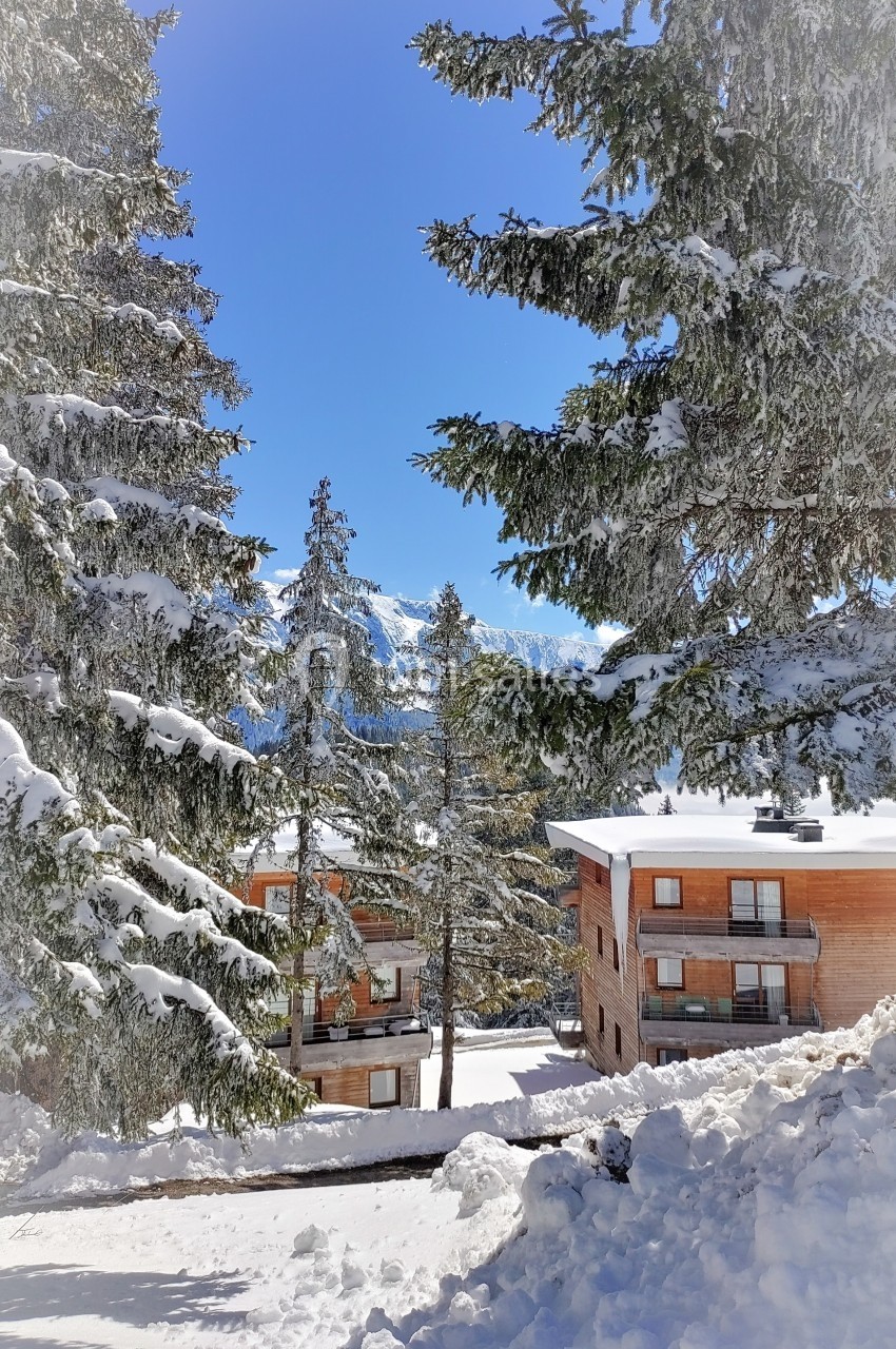 Paysage hivernal avec chalets en bois entourés de sapins enneigés sous un ciel bleu clair.