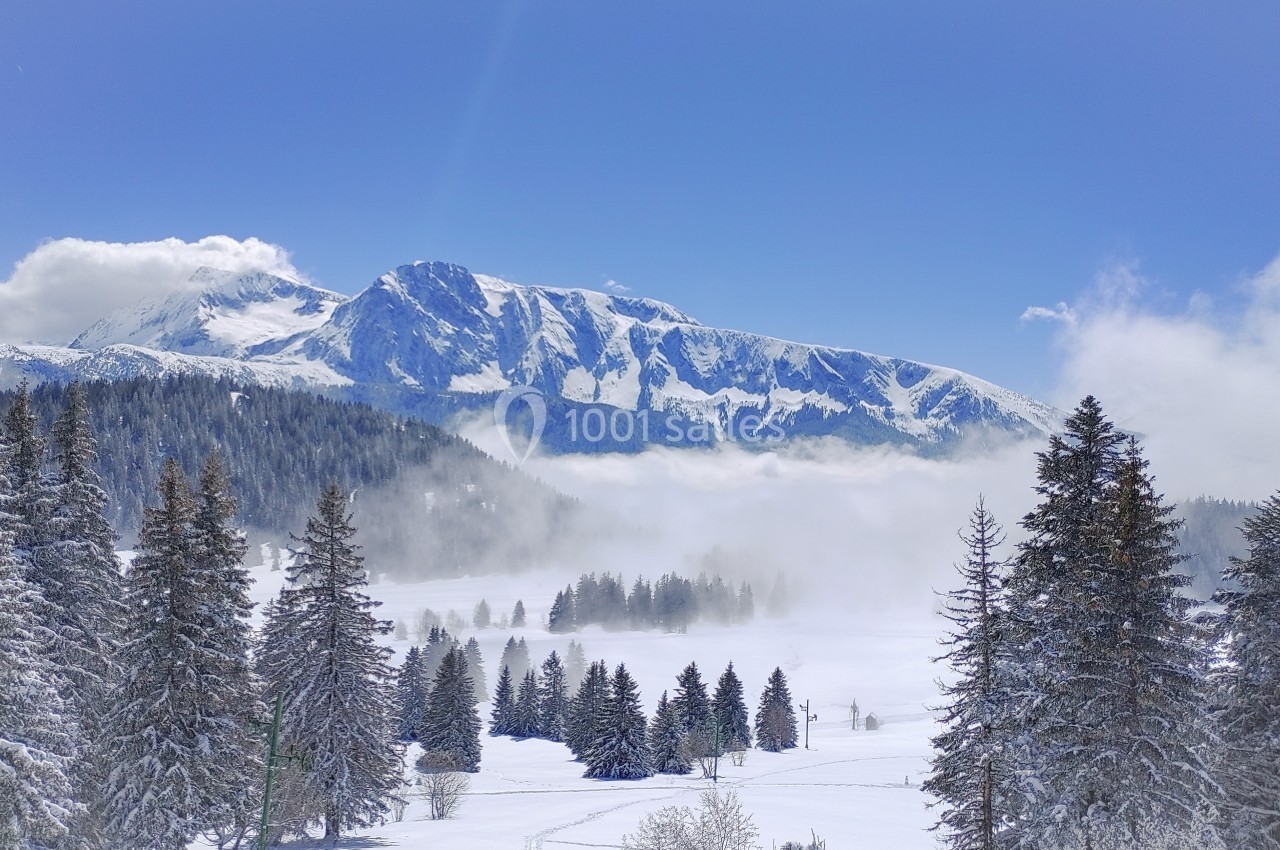 Paysage alpin enneigé avec des sapins, une vallée brumeuse et une chaîne de montagnes sous un ciel dégagé.