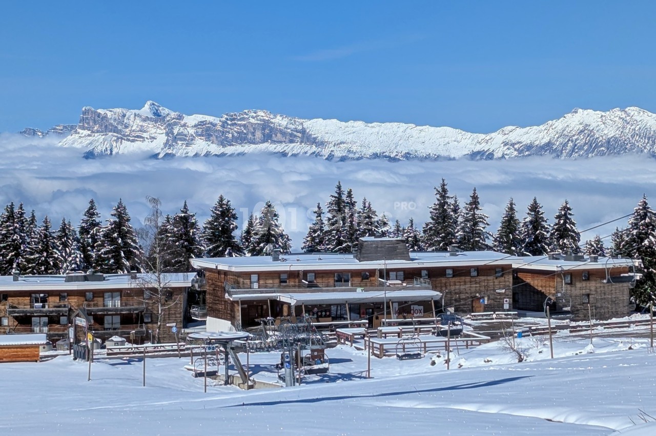 Chalets en bois entourés de sapins enneigés avec une vue sur des montagnes et un ciel dégagé.