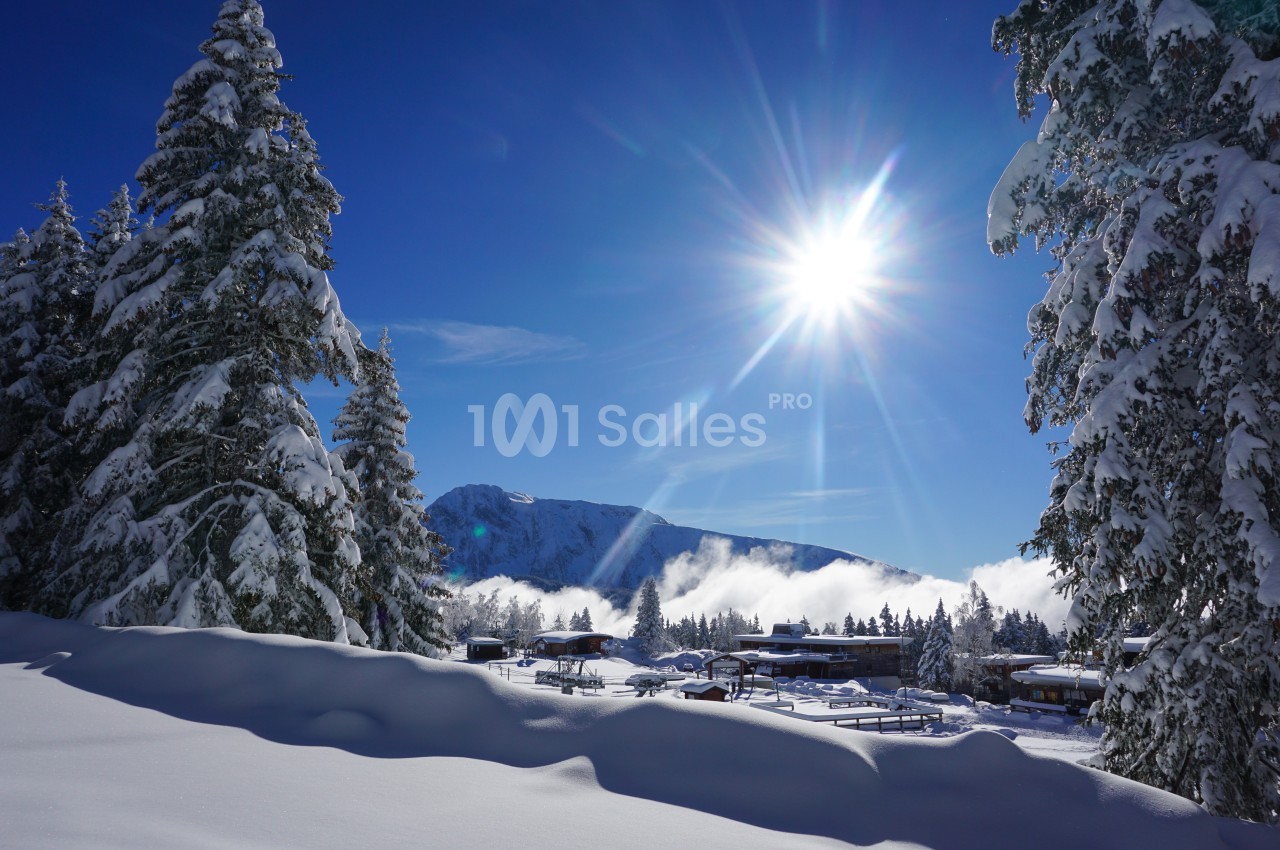 Paysage enneigé avec des sapins, un ciel bleu ensoleillé et des montagnes en arrière-plan.