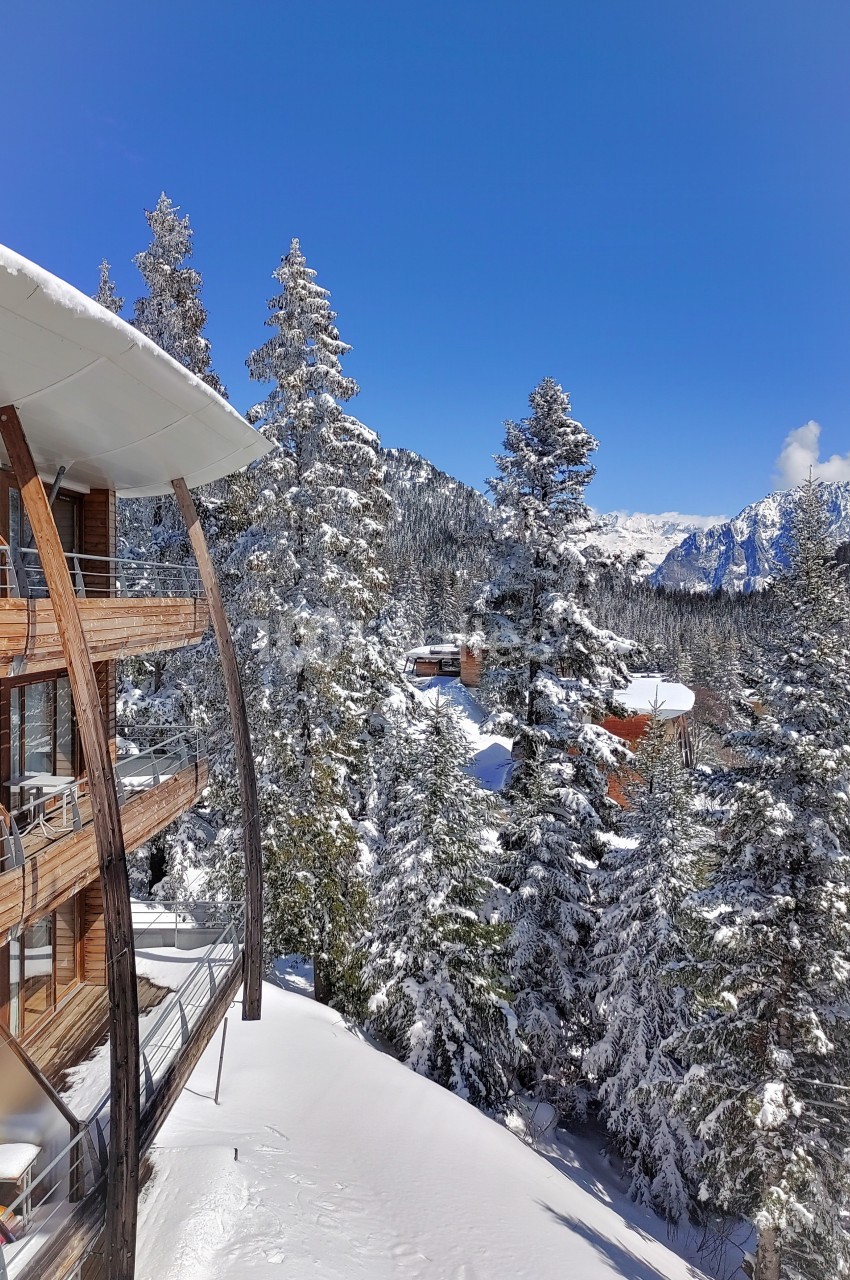 Vue d'un bâtiment en bois moderne entouré de sapins enneigés sous un ciel bleu en montagne.
