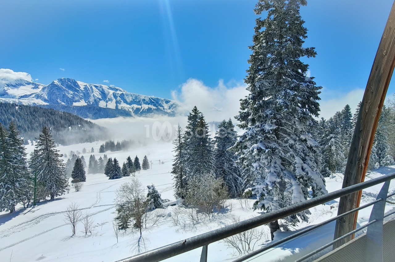 Paysage enneigé avec des sapins, une montagne en arrière-plan et une balustrade au premier plan sous un ciel bleu.