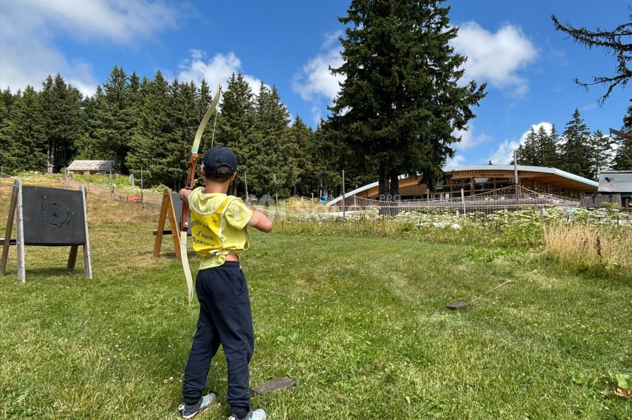 Un enfant tire à l'arc en plein air, devant une cible et un paysage de prairie et de forêt.