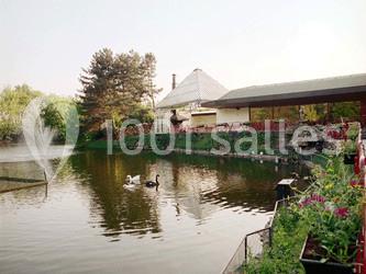 Den Oesterput - galerie - photo 1