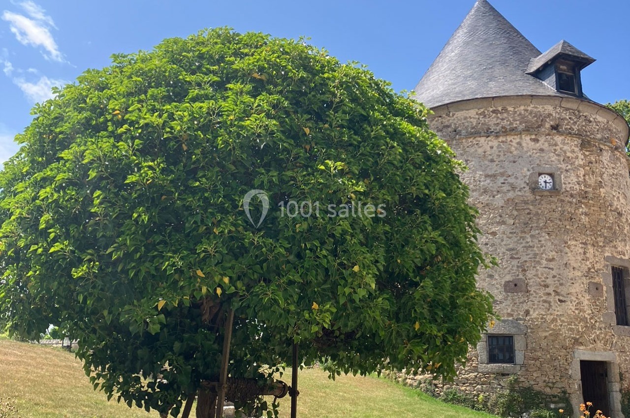 Arbre au feuillage dense devant une tour en pierre avec un toit conique et une horloge, sous un ciel bleu.