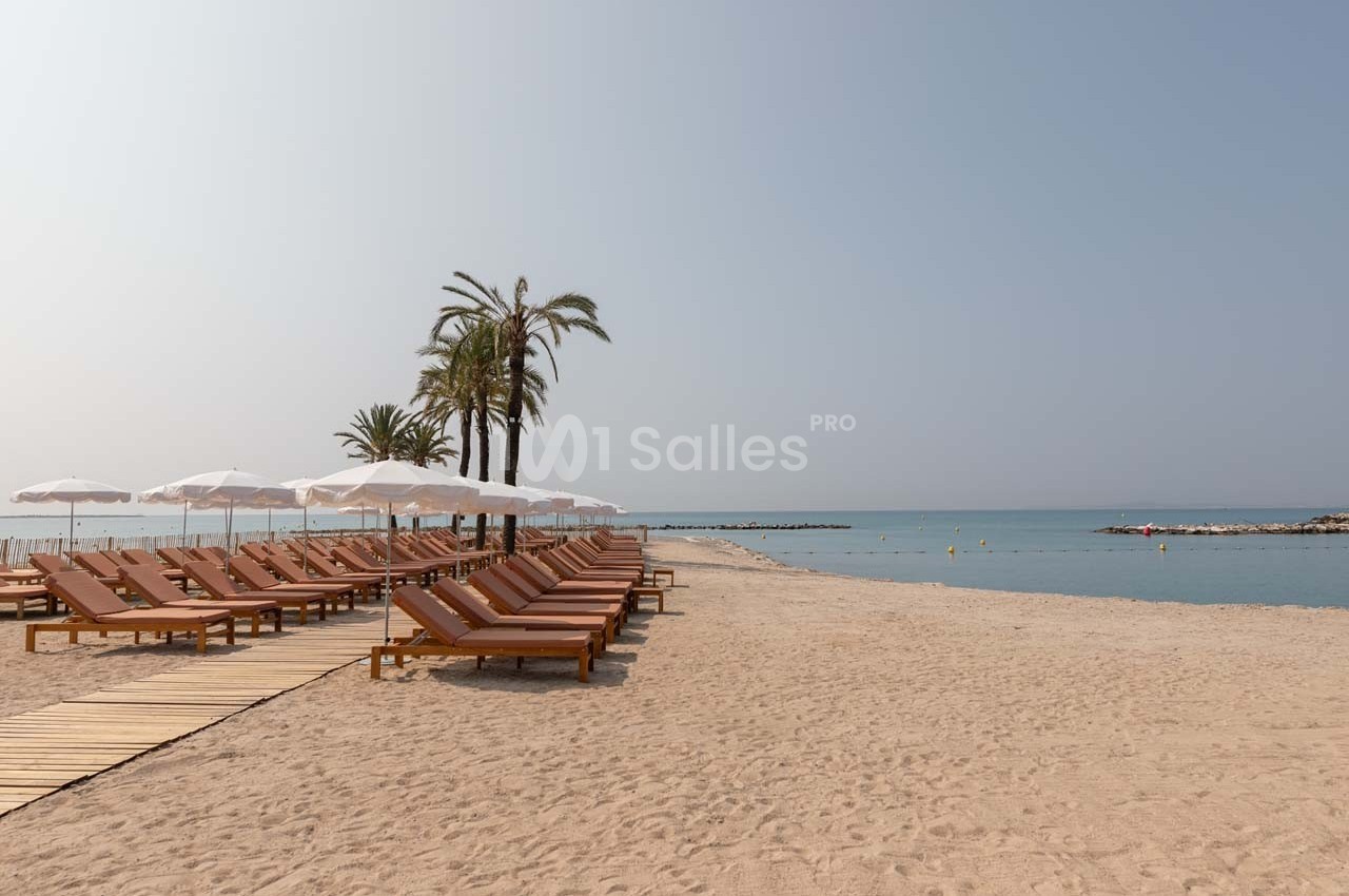 Chaises longues en bois alignées sur une plage de sable avec parasols blancs, bordée par une mer calme et des palmiers.