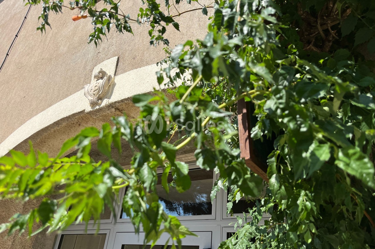 Plantes grimpantes et feuillage dense encadrant une porte vitrée sur une façade beige ensoleillée.