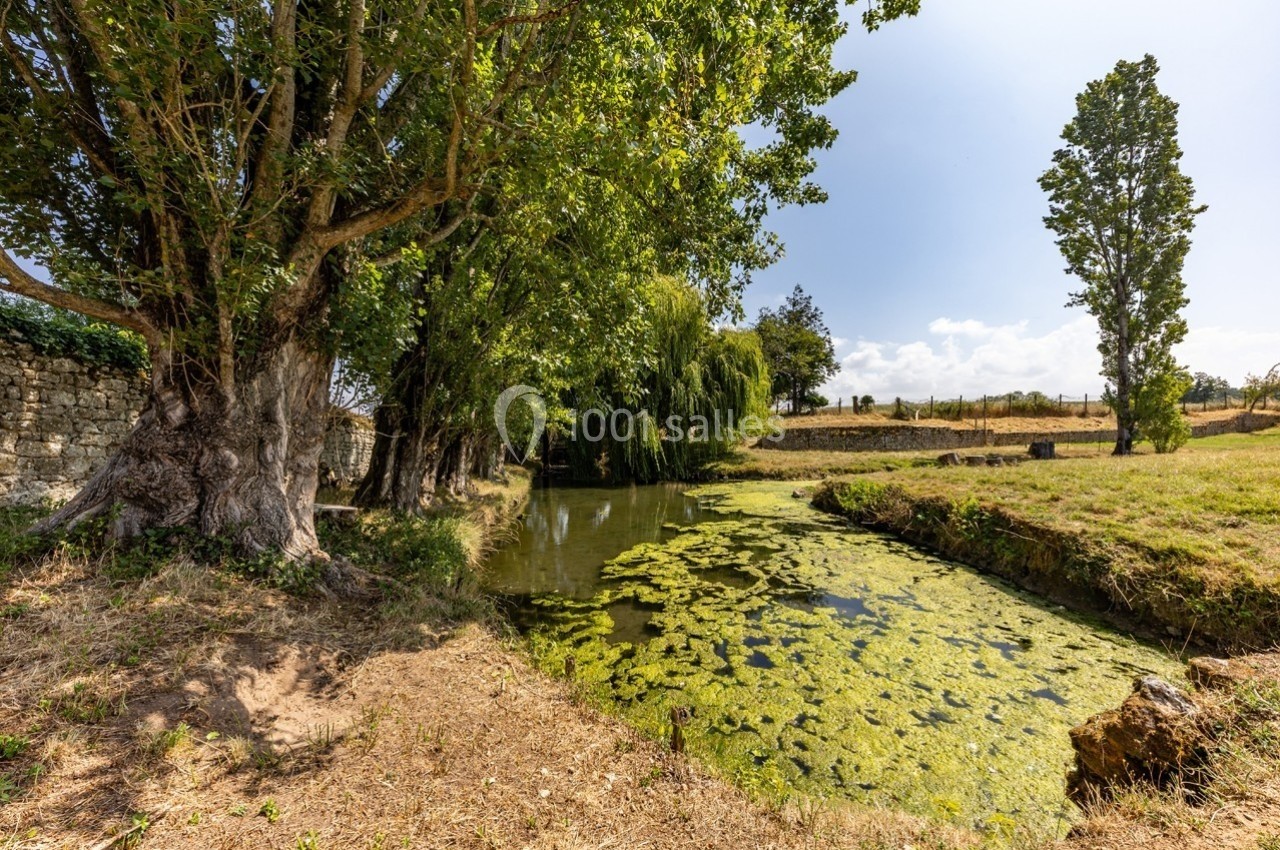Étang bordé d'arbres et de végétation, avec des algues à la surface, dans un paysage rural ensoleillé.