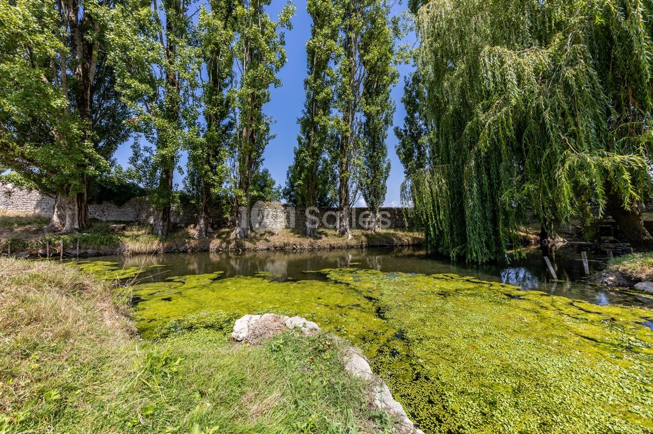 Étang bordé d'arbres, avec des algues flottantes à la surface et un mur de pierre en arrière-plan.