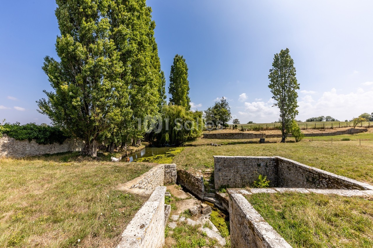 Vue d'un paysage rural avec des arbres, un petit cours d'eau et des structures en pierre dans un champ ensoleillé.