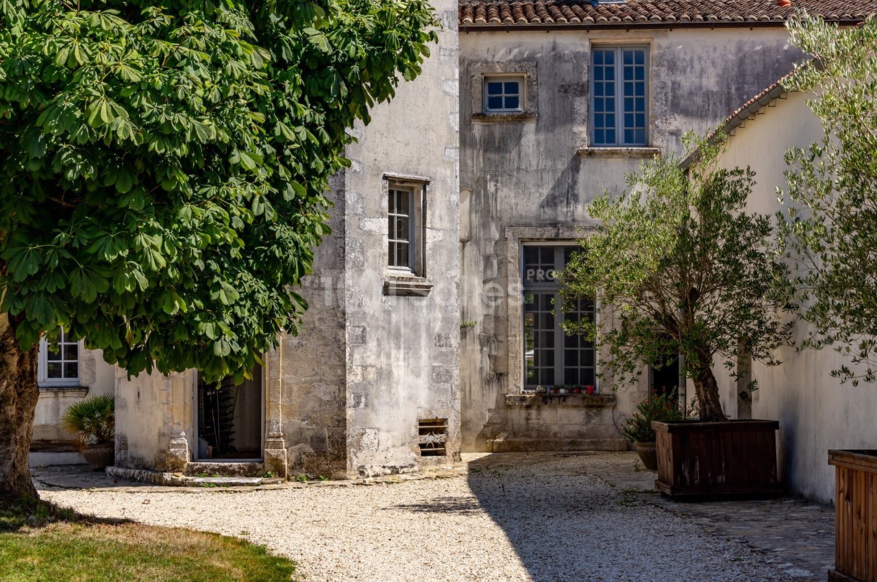 Façade d'une maison ancienne en pierre avec des volets bleus, entourée d'arbres et d'une cour en gravier.