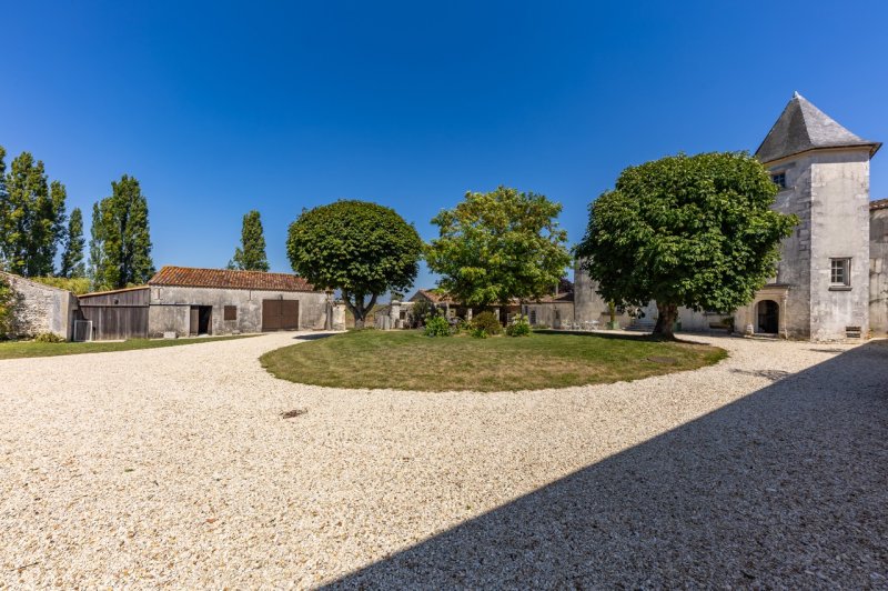 Chateau de Feusse - photo 2