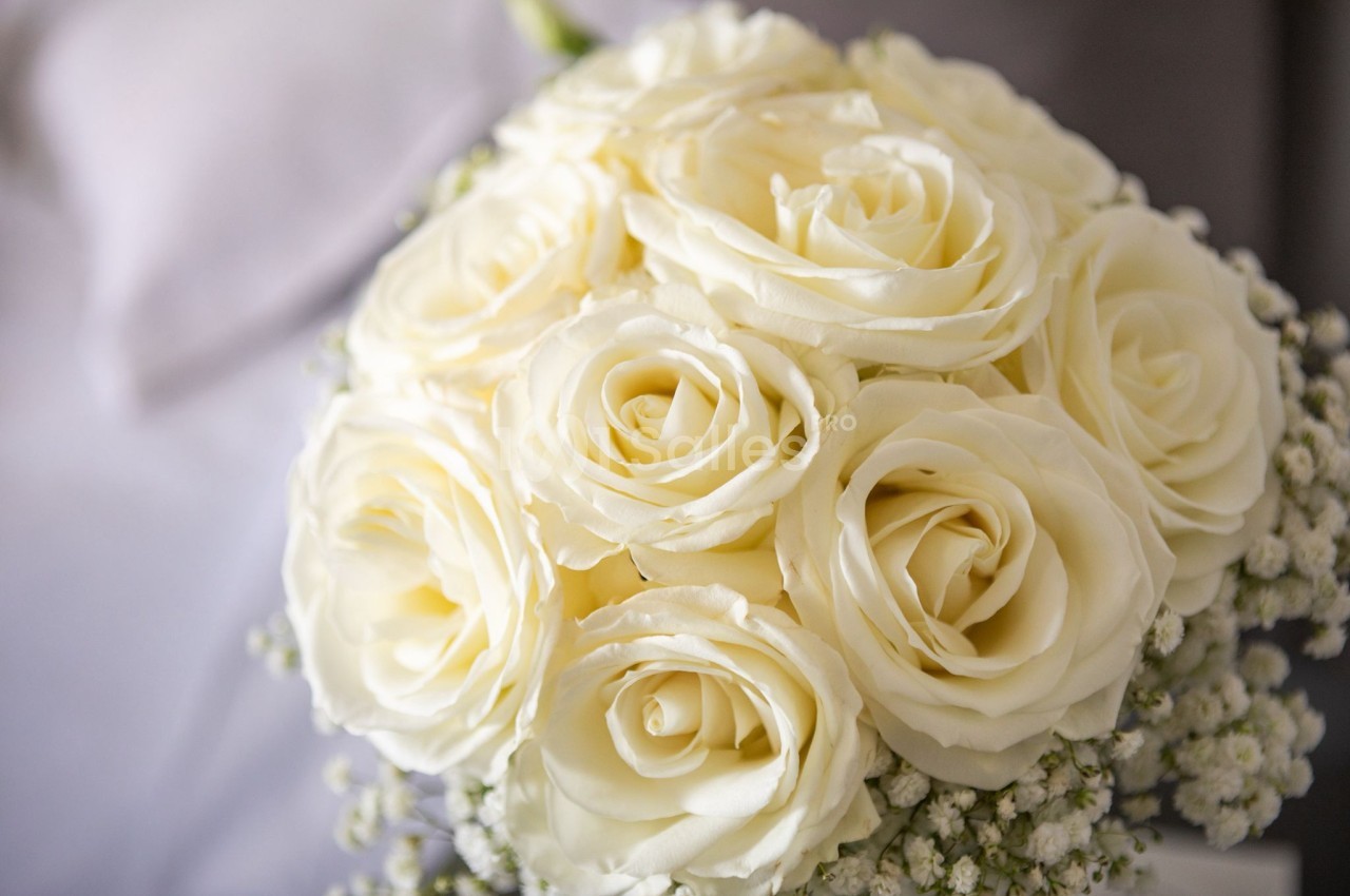 Bouquet de roses blanches entourées de petites fleurs blanches, posé sur un fond flou gris clair.