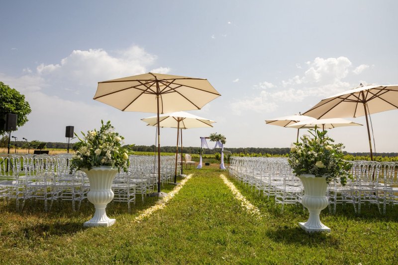 Deco Events - photo 3