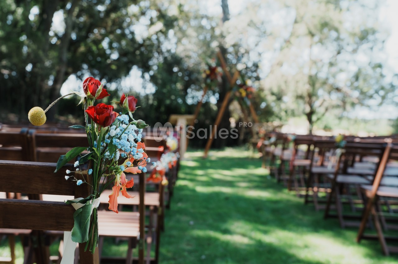 Chaises en bois alignées pour une cérémonie en extérieur, décorées de fleurs colorées sous un ciel dégagé.