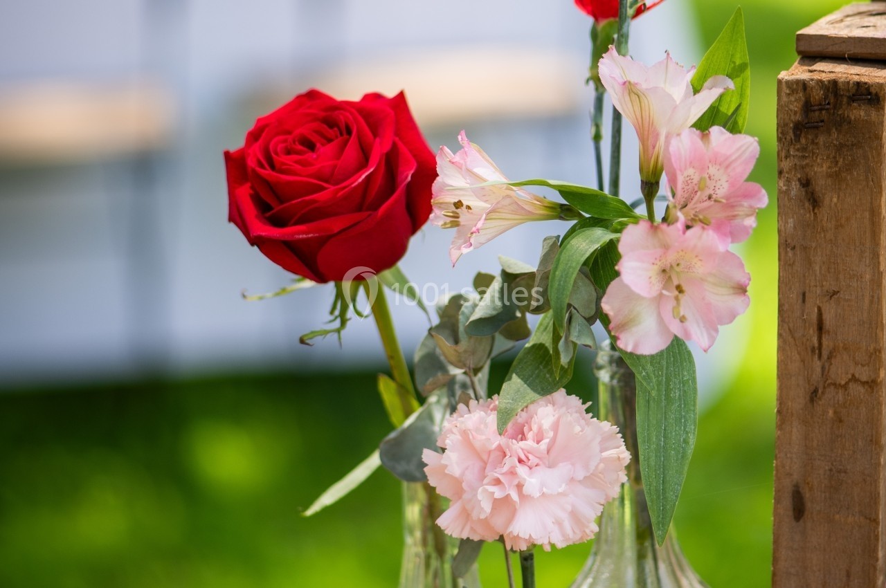 Fleurs variées, dont une rose rouge et des fleurs roses, disposées dans des vases en verre sur un fond extérieur flou.