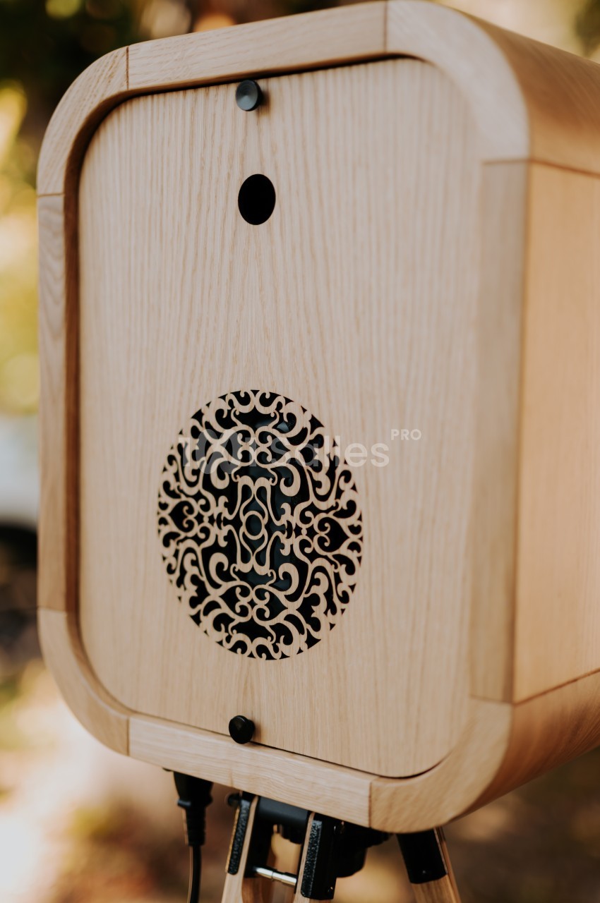 Boîtier en bois clair avec un motif décoratif ajouré et des connectiques visibles en bas.
